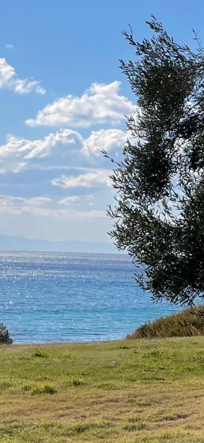 Mola Papaya Studios Mola Kalyva Exteriér fotografie